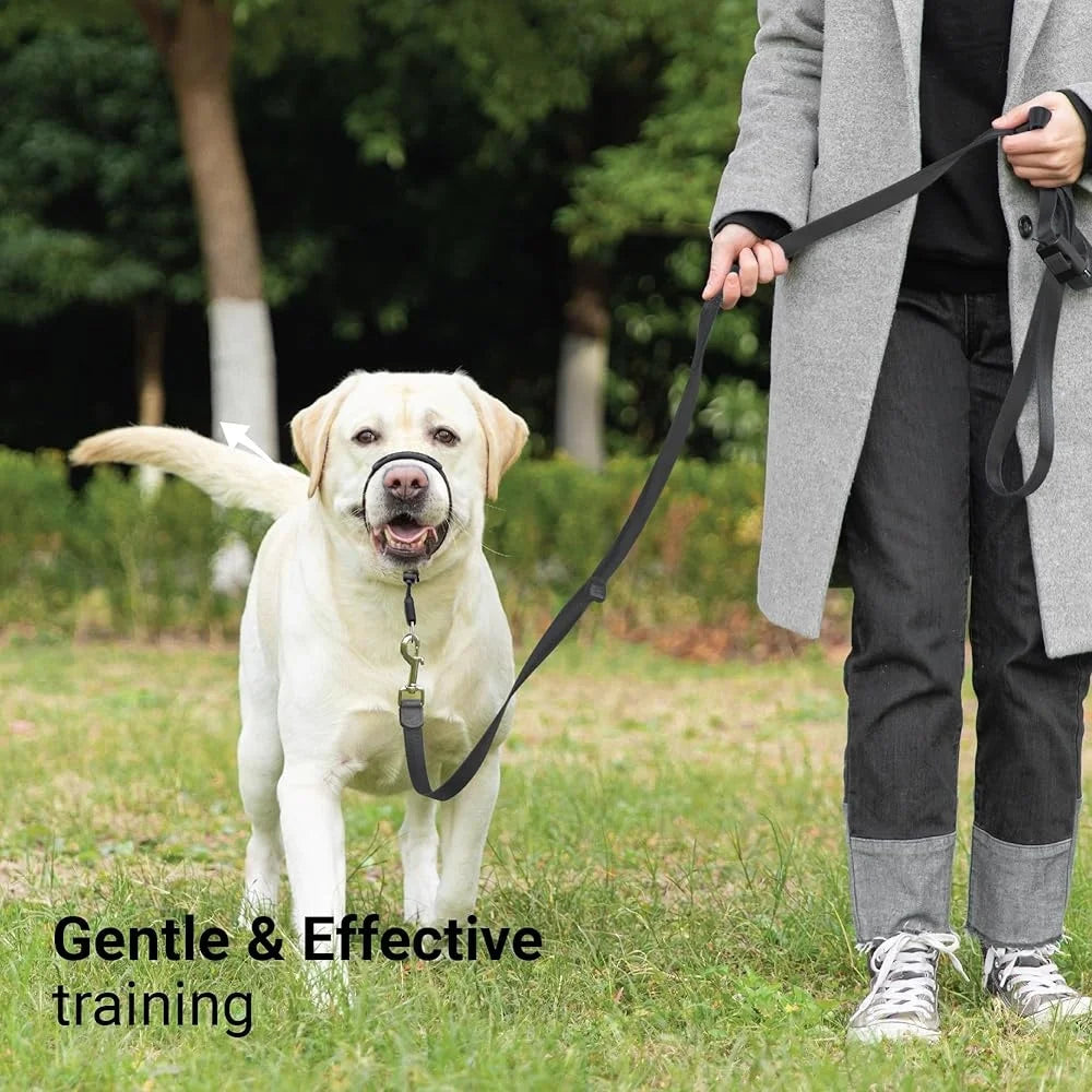 No Pull Dog Headcollar Medium Dogs Chew Proof Comfortable Easy Fit Adjustable Silhouette Innovative Locking Buckle Durable