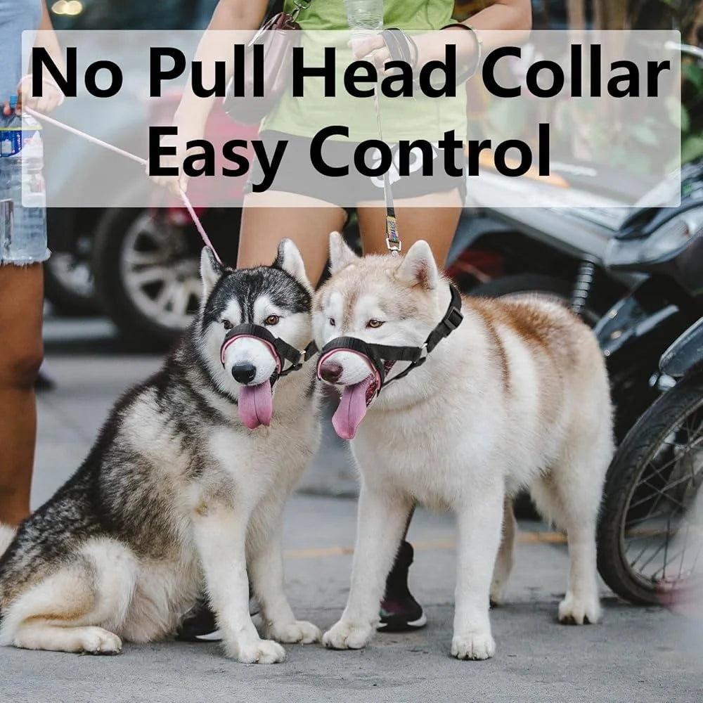 Padded Dog Head Collar Adjustable No Pull Harness Durable Nylon Strap Better Control All Dog Sizes