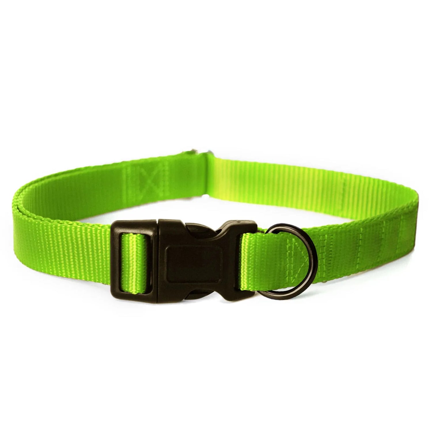 Dog Collars