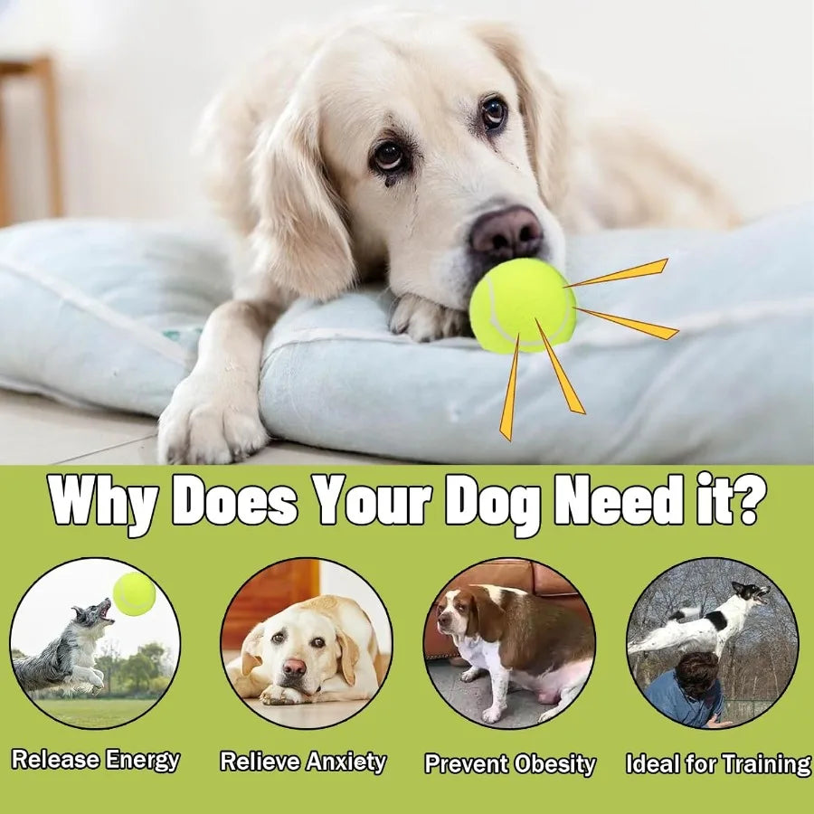 Dog Tennis Balls90 Pack 2.5 inch Floatable Squeaky Tennis Balls for Fetch Exercise Natural Rubber Squeaky Dog Ball Training Saf