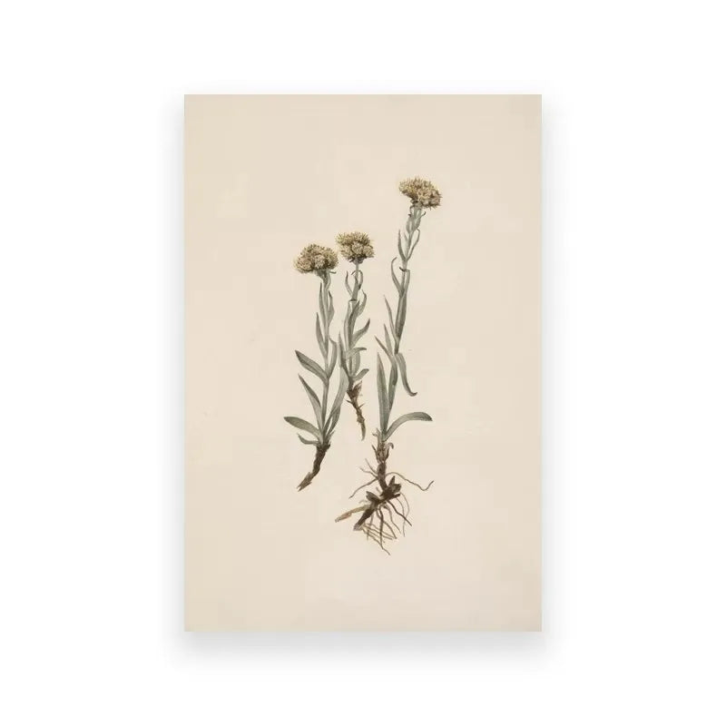 Minimalist Dark Dandelion Flower Canvas Print Abstract Inspirational Wall Art Poster for Modern Living Room Bedroom Home Decor