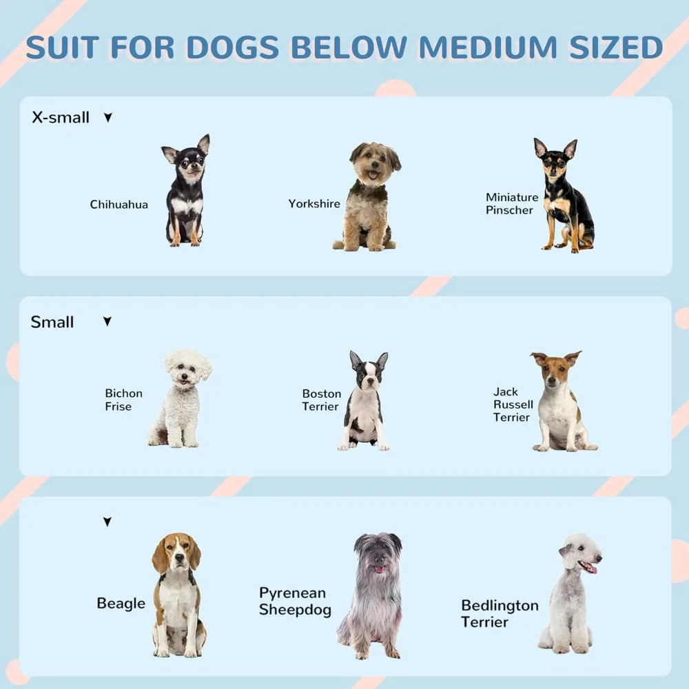 Plastic Dog House, Water Resistant Puppy Shelter Indoor Outdoor with Door, Easy to Assemble, for Medium and Small Dogs, Gray