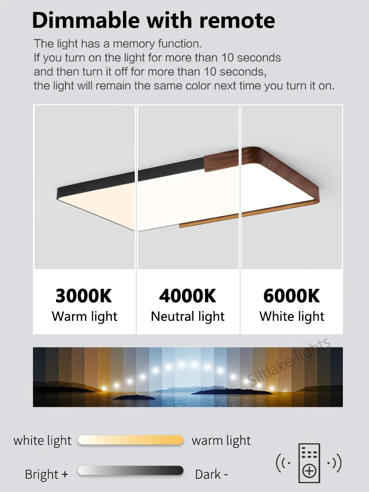 Living room ceiling lamp Italian LED simple modern walnut color hall main lights restaurant study lamps master bedroom lamp