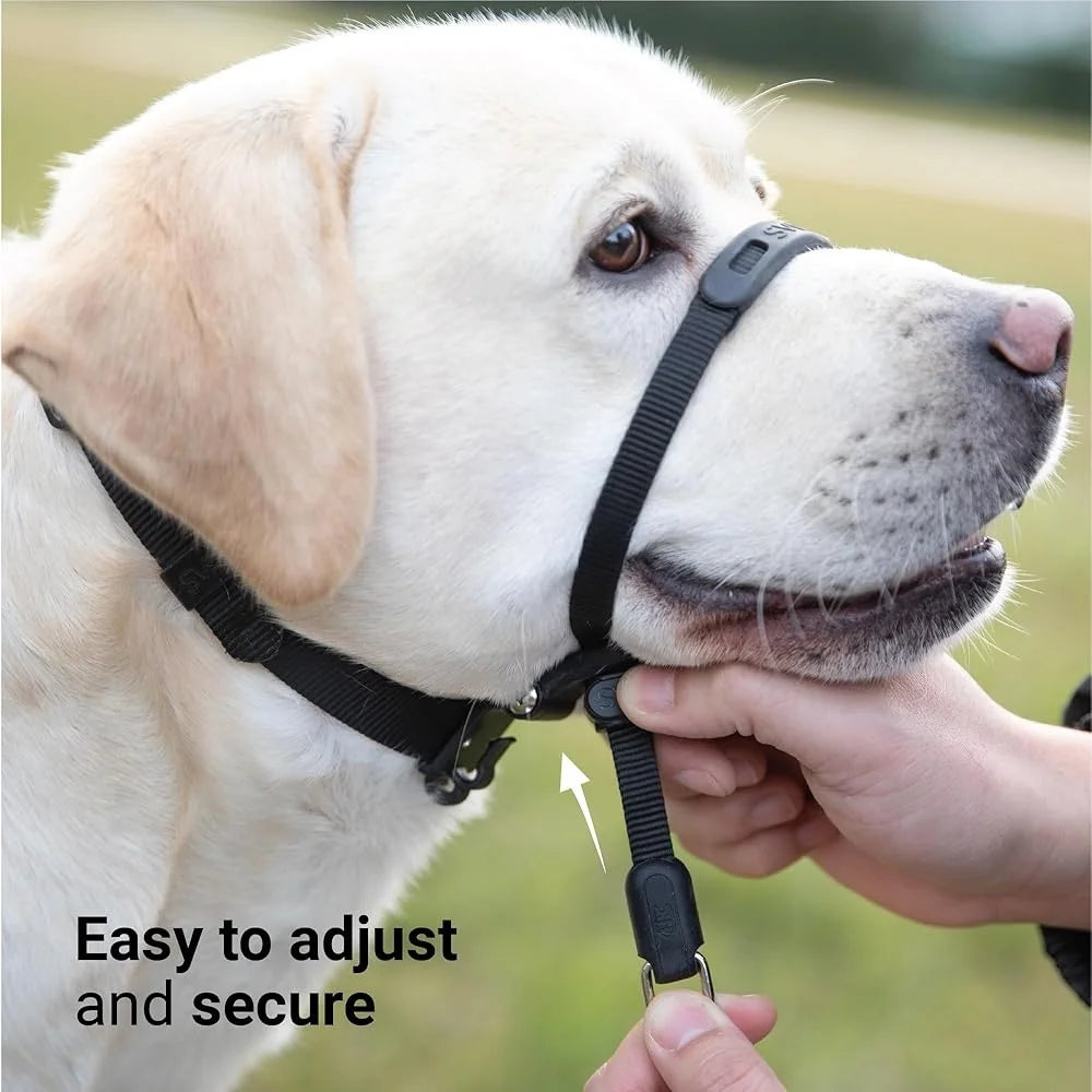 No Pull Dog Headcollar Medium Dogs Chew Proof Comfortable Easy Fit Adjustable Silhouette Innovative Locking Buckle Durable