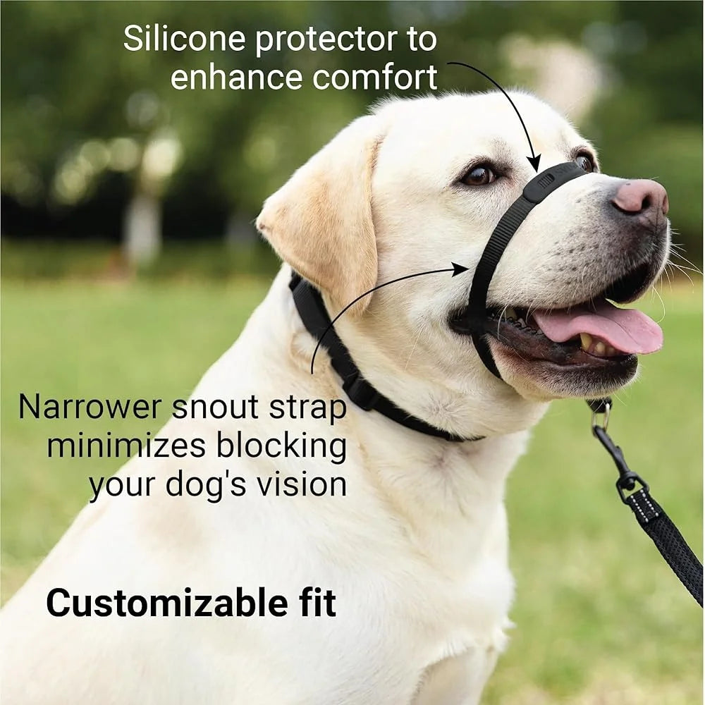 No Pull Dog Headcollar Medium Dogs Chew Proof Comfortable Easy Fit Adjustable Silhouette Innovative Locking Buckle Durable
